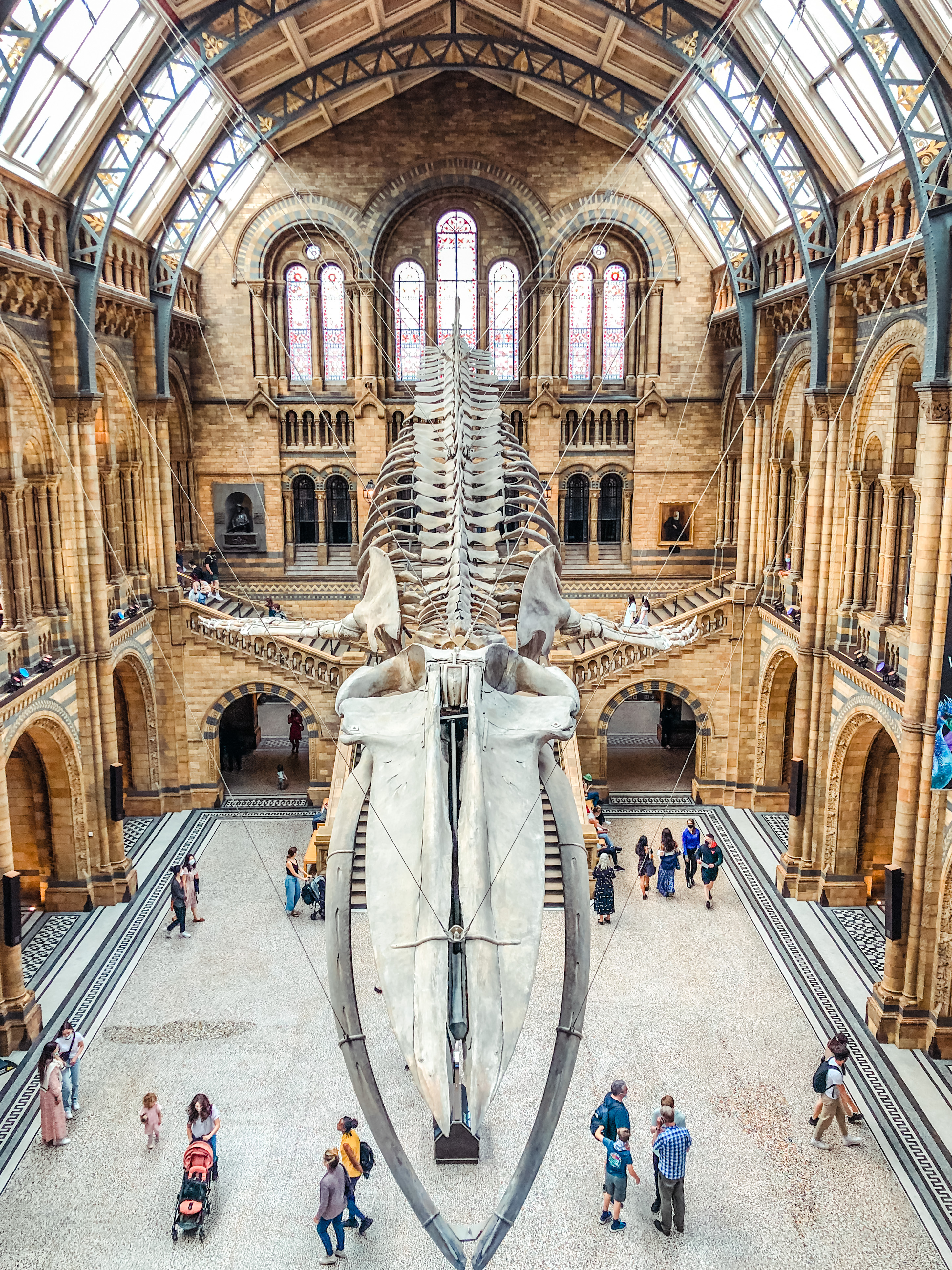 Natural History Museum- free museums to visit in London