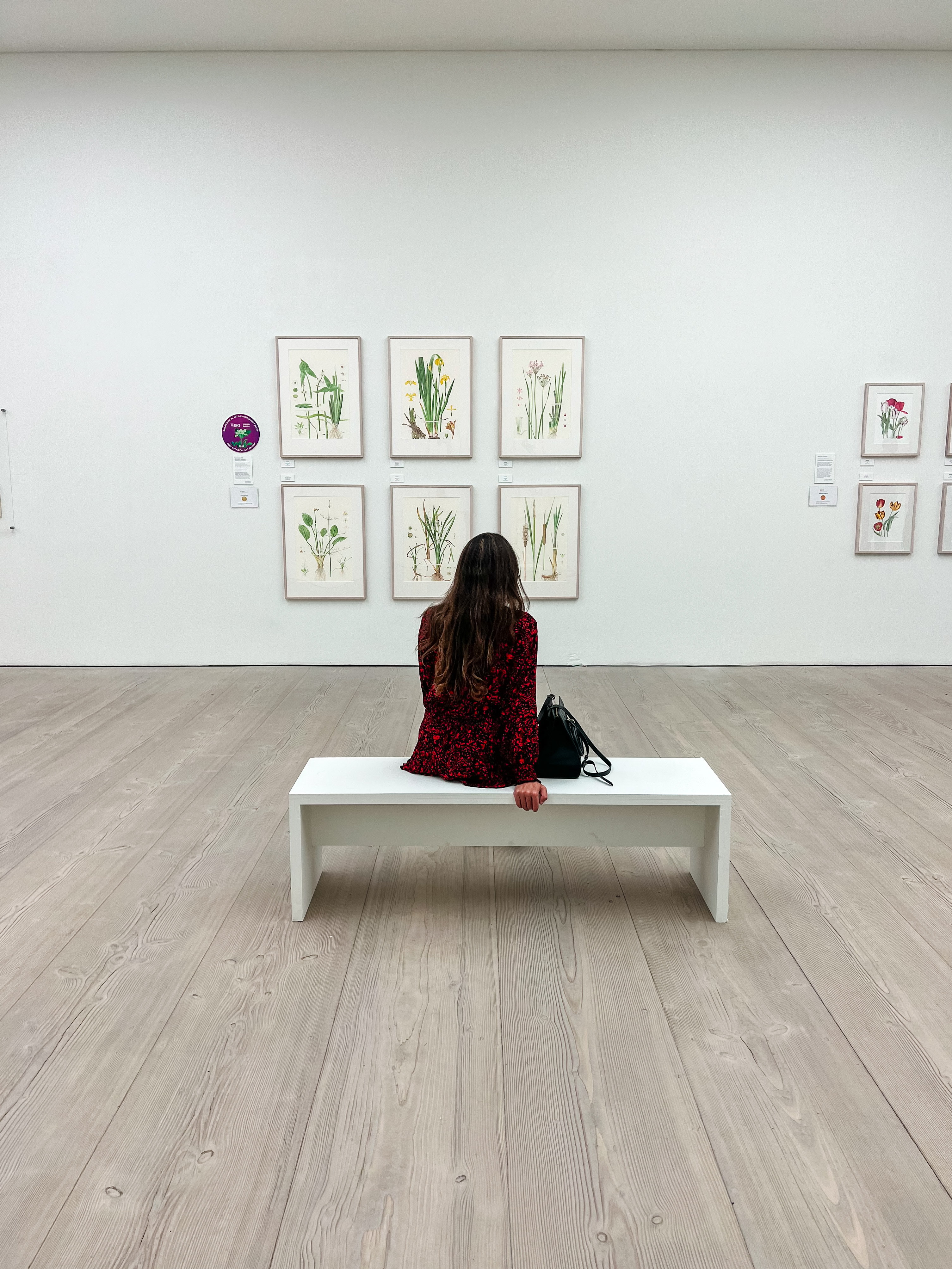 Saatchi Gallery, one of the best things to do in Sloane Square