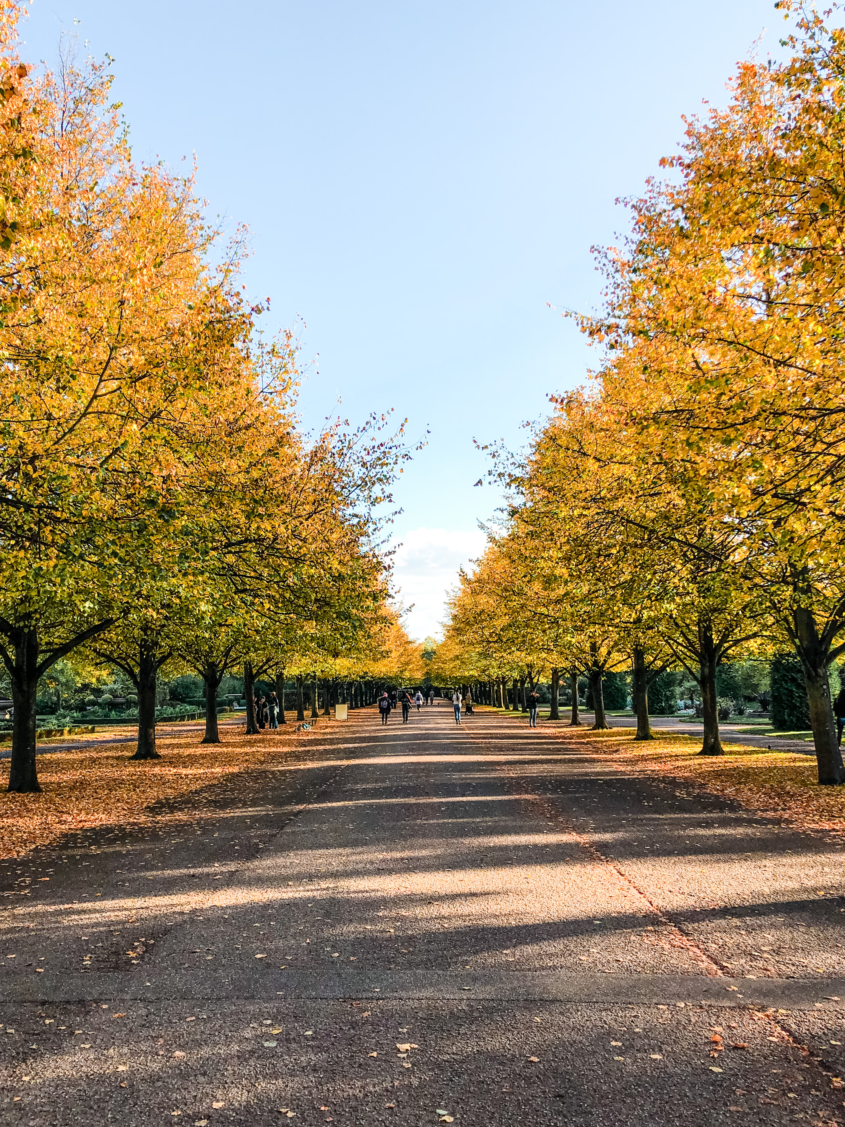 Autumn in Regent's Park