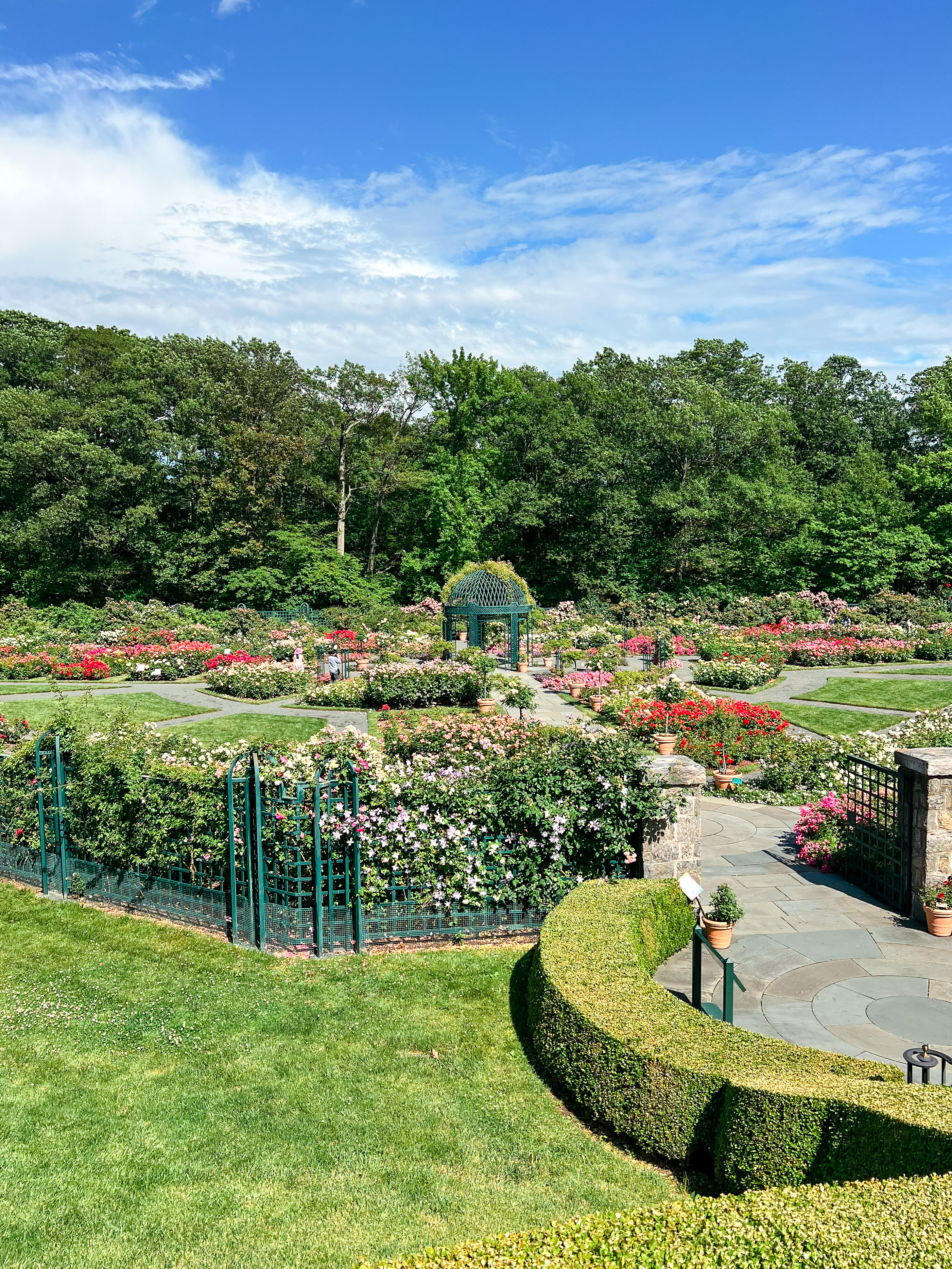 Peggy Rockefeller Rose Garden in Brooklyn Botanic Garden