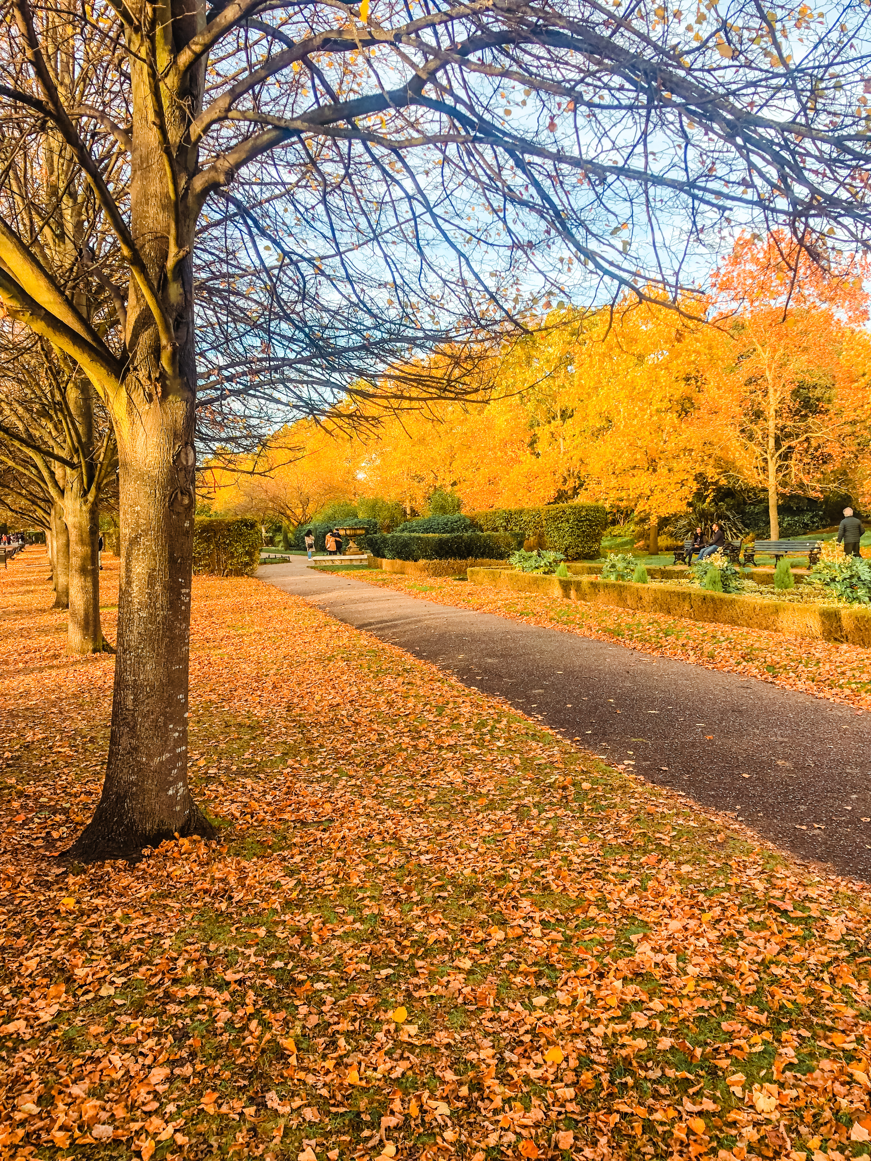 Autumn in Regent's Park