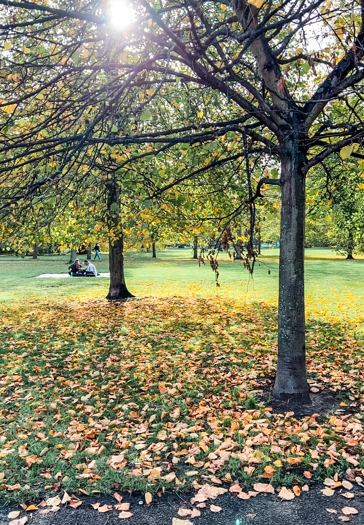 Autumn in Hyde Park