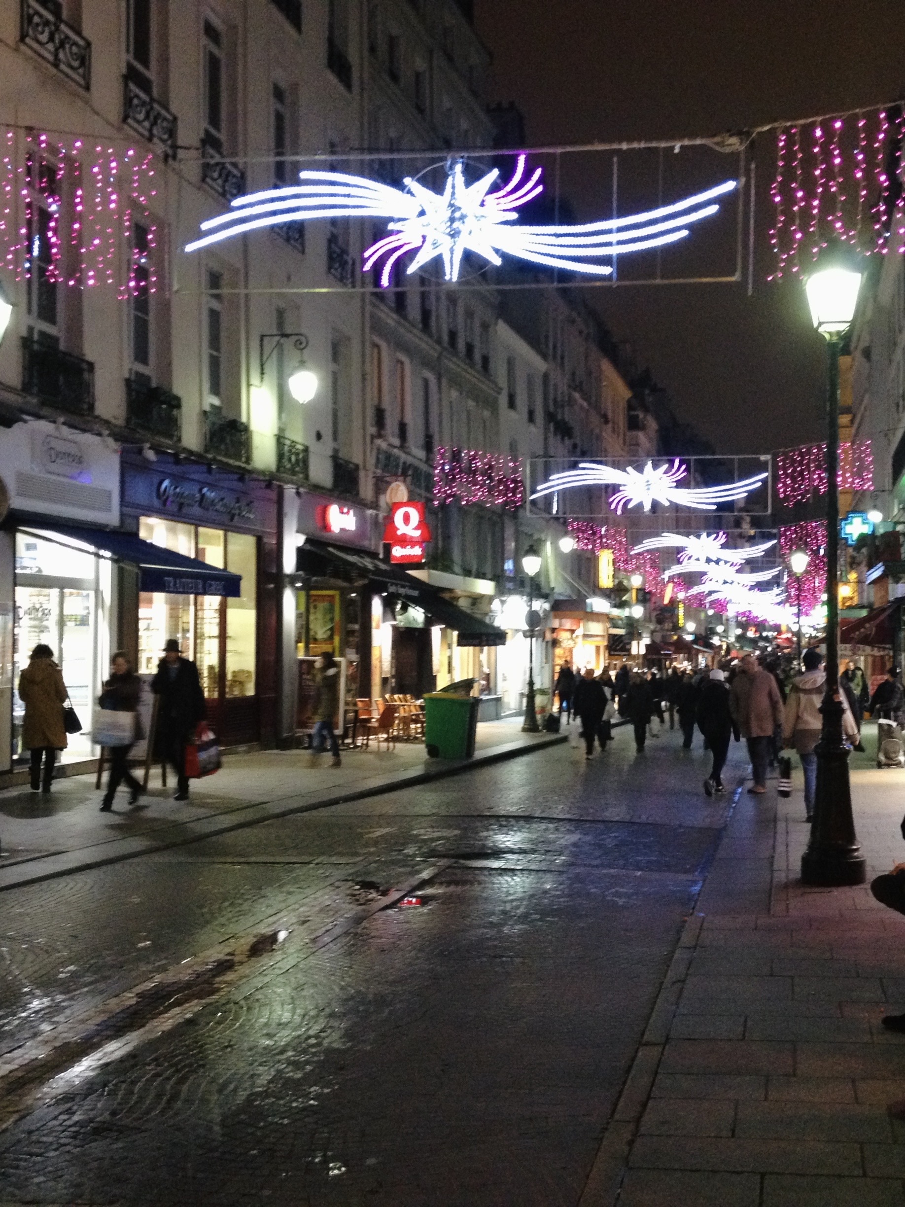 Christmas lights in Paris