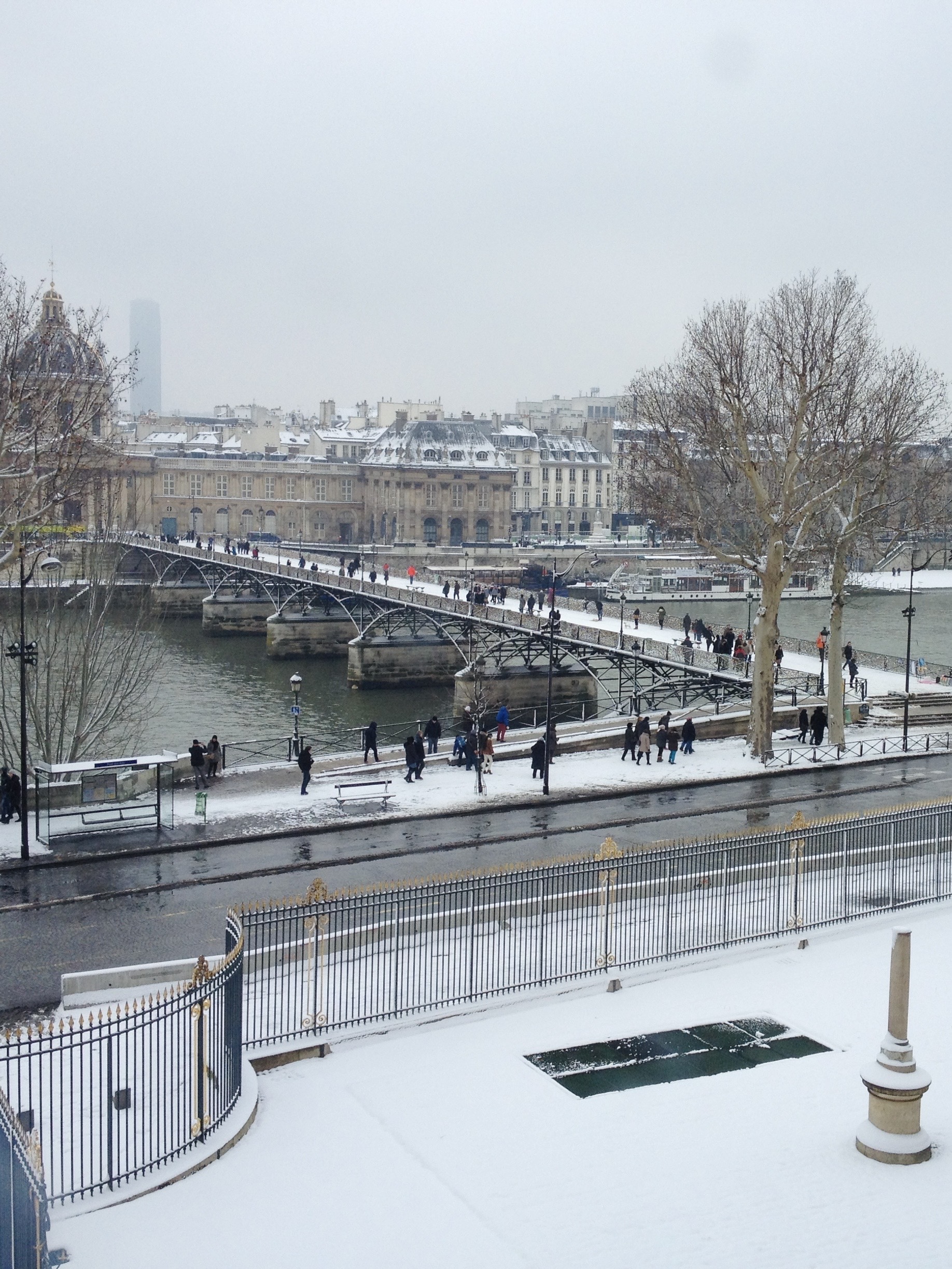 seine river under the snow in Paris