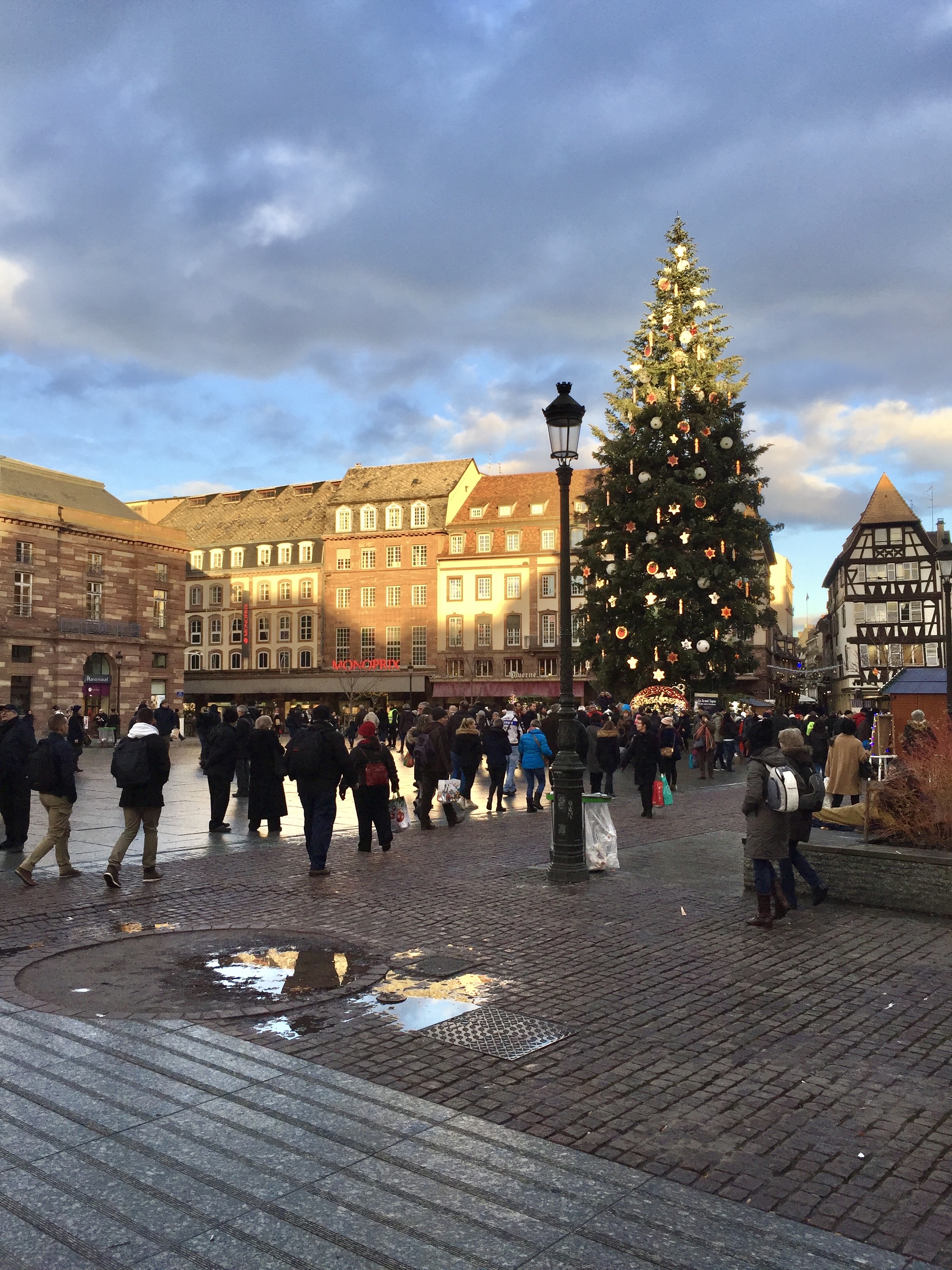 Christmas Tree at Place Kléber in Strasbourg, Alsace